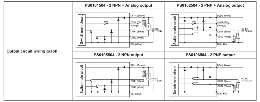 Output circuit Diagram
