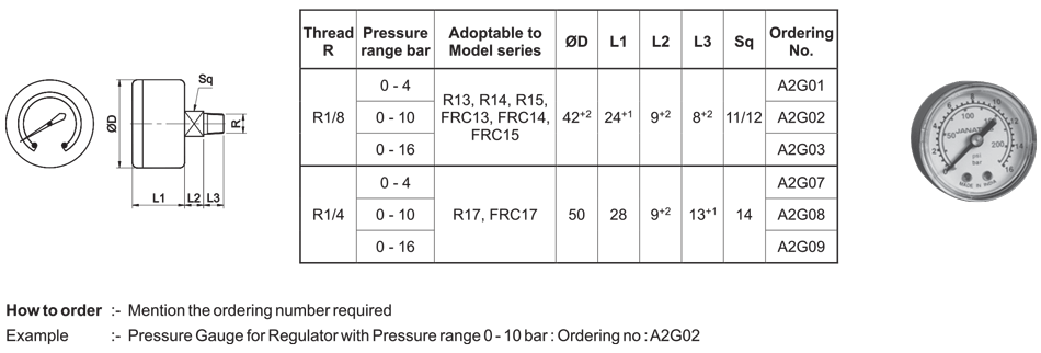 Pressure gauge